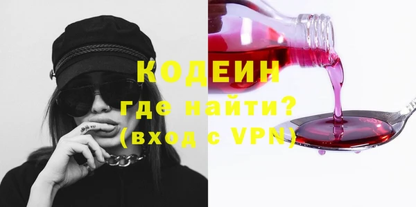 гидра Ельня