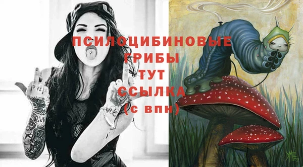 гашиш Заводоуковск