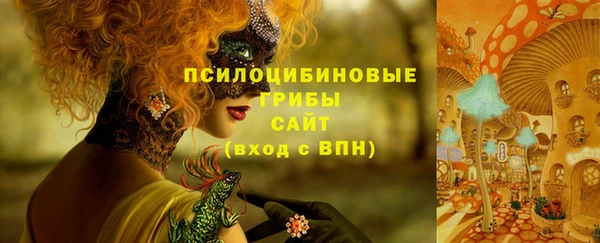 гашиш Заводоуковск
