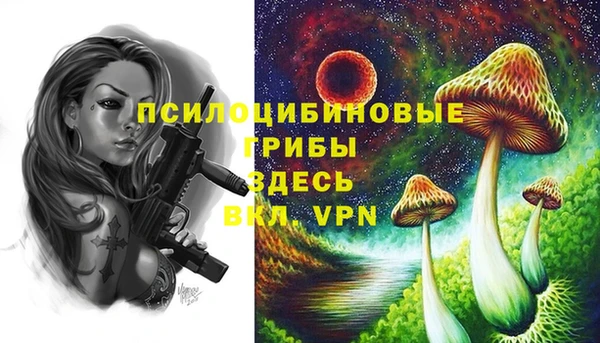 гашиш Заводоуковск