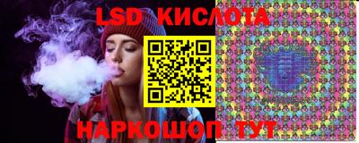 винт Кимры