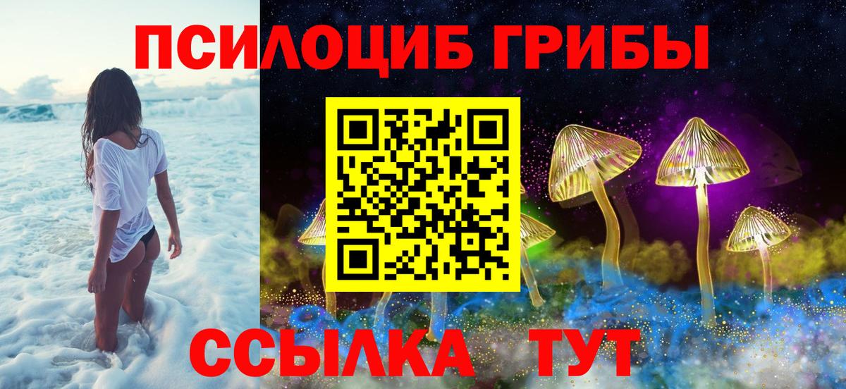 Псилоцибиновые грибы GOLDEN TEACHER Пыть-Ях